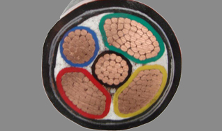 31